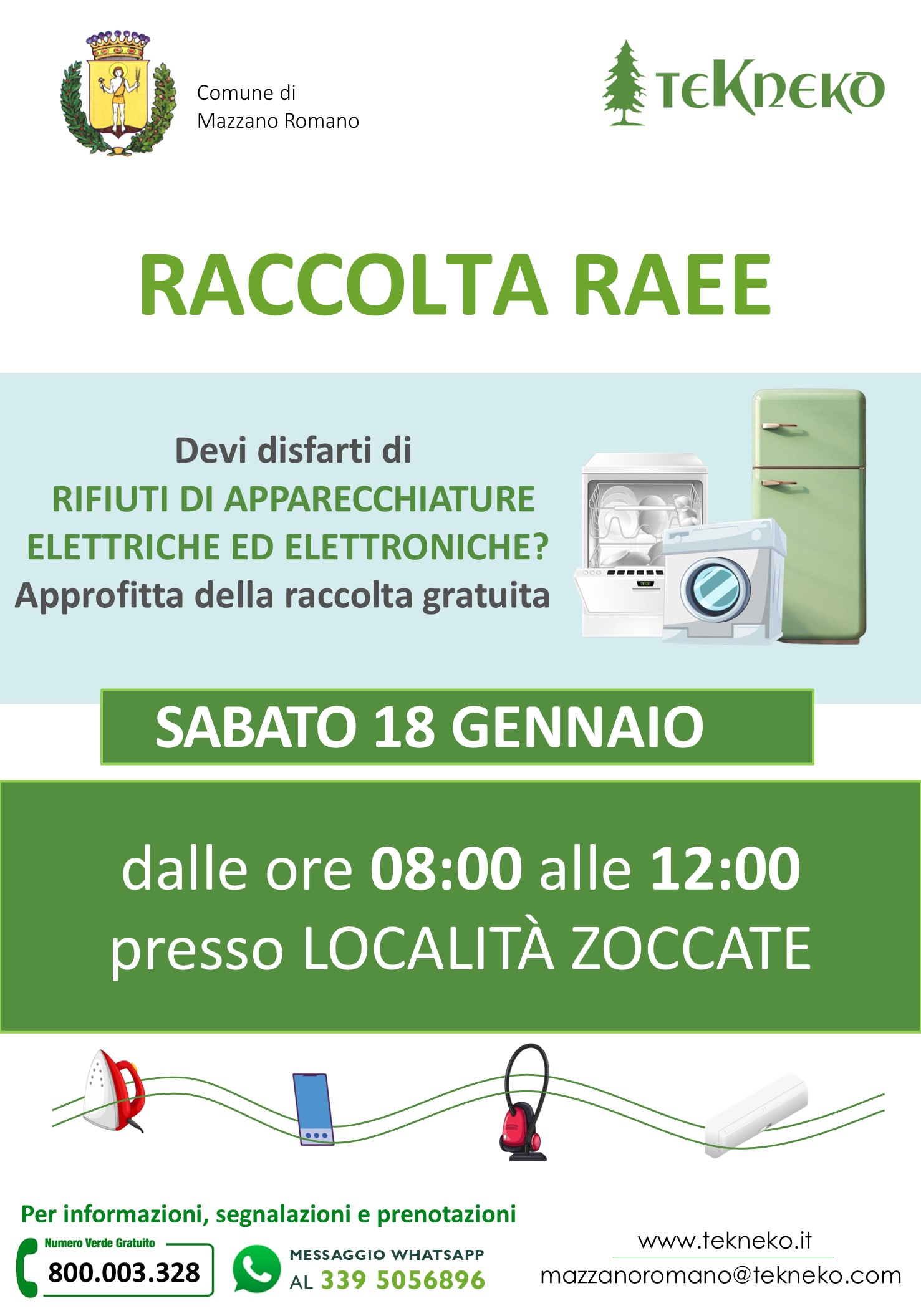 Raccolta RAEE