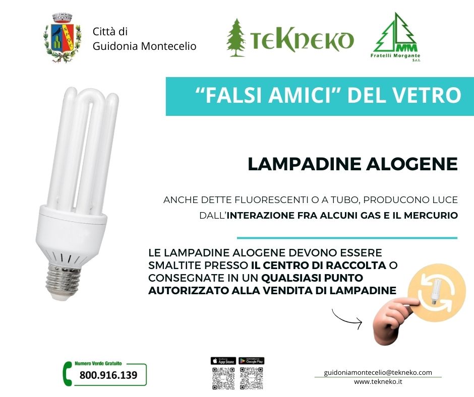 Falsi Amici del Vetro - Lampadine Alogene