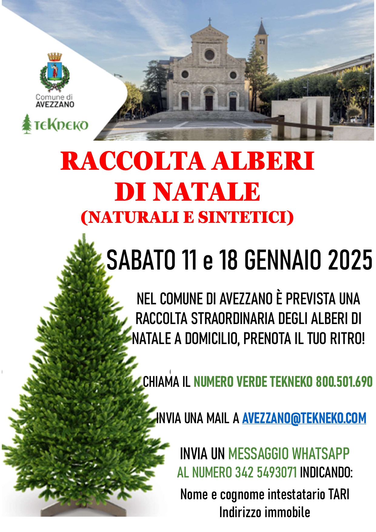 Raccolta a domicilio alberi di Natale naturali e sintetici